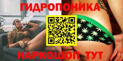 Альфа ПВП Ливны